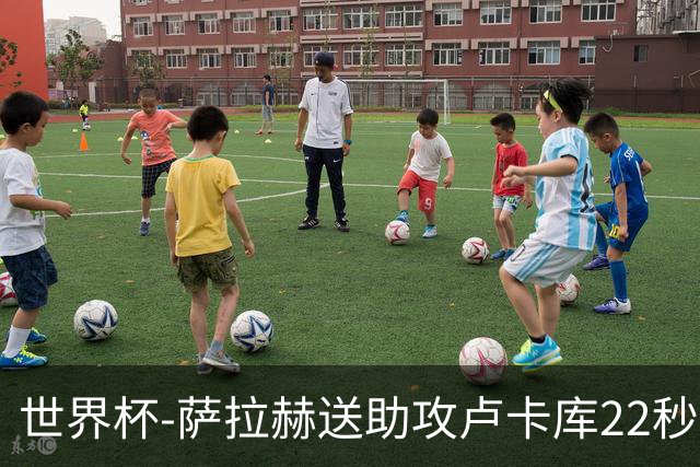 世界杯-萨拉赫送助攻卢卡库22秒造乌龙 比利时1-1埃及