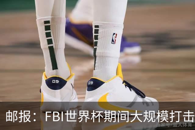 邮报：FBI世界杯期间大规模打击无人机活动，一名非法移民被捕